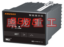 溫度表、數(shù)字顯示儀、濕度表