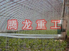 大棚花卉供暖設(shè)備、大棚卉采暖設(shè)備、大棚花卉取暖設(shè)備